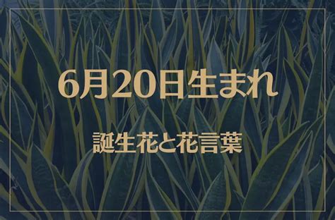 6月20日性格|6月20日生まれ